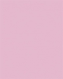 Dekorkarton, 2 oldalas, 50x70cm, 220 g, 10 lap, FOLIA, halvány rózsaszín